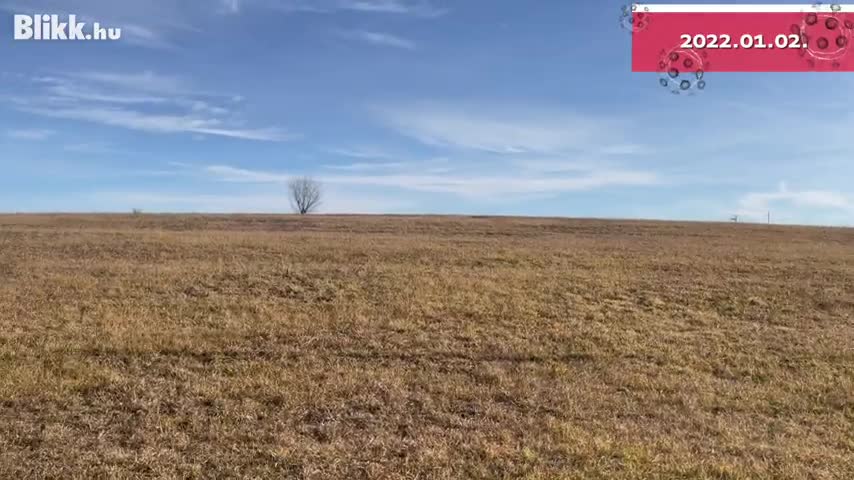 Segpildentó pillanata