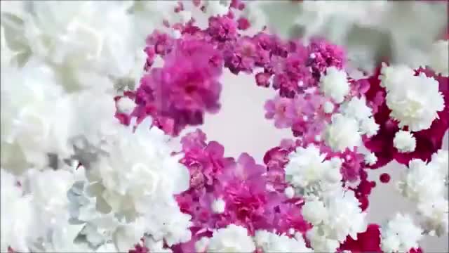 INTRO VIDEO with FLOWER