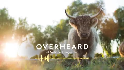 Farming for the Planet | Podcast | Overheard at National Geographic