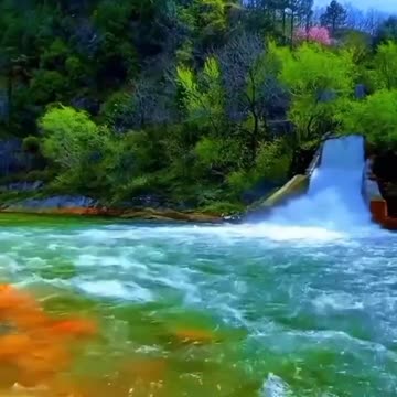 "Calm River Flow: Nature’s Symphony for Relaxation"