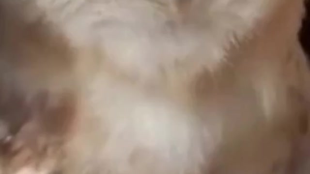 Beauty notification 🙂