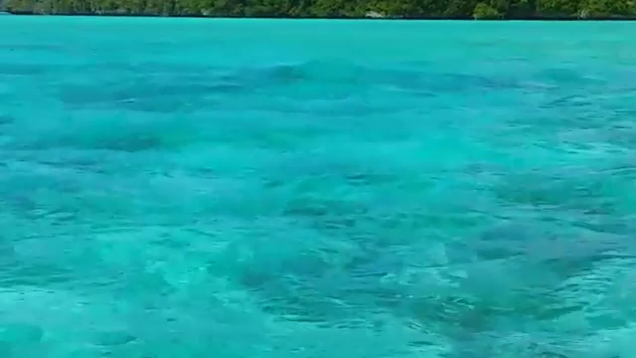 Koror Palau