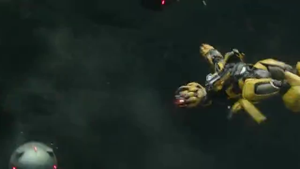 Bumblebee entry fight