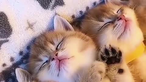 Your sleeping face is so cute🥰🥰🥰