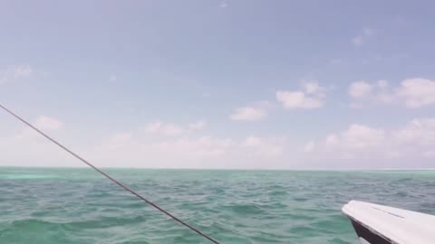 Oceanic Tranquility | Ocean Shore Sounds and Gentle Melodies