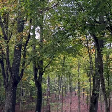 My life is my massage