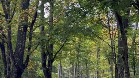 My life is my massage