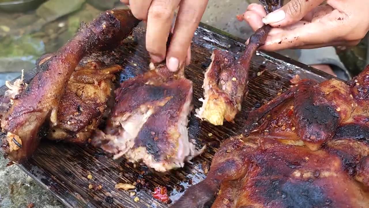 Adventure in forest, Duck spices chili roasted for dinner - Survival cooking in jungle