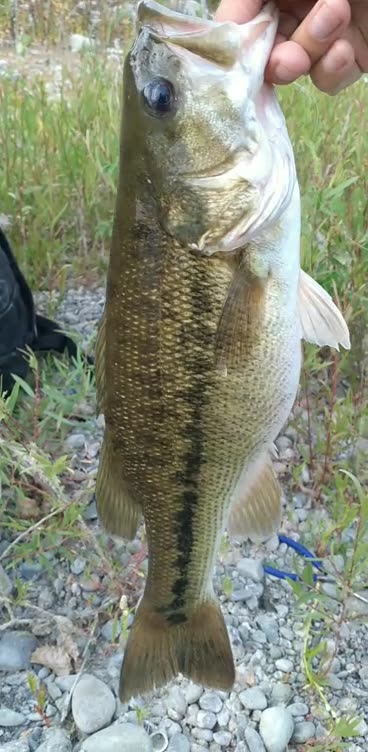 Selfie with an Absolutely BEAUTIFUL Spotted Bass