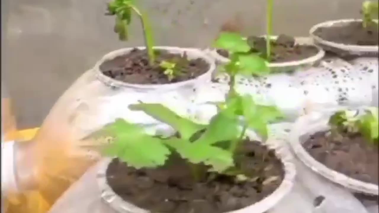 New method to grow vegetable on house waste materials