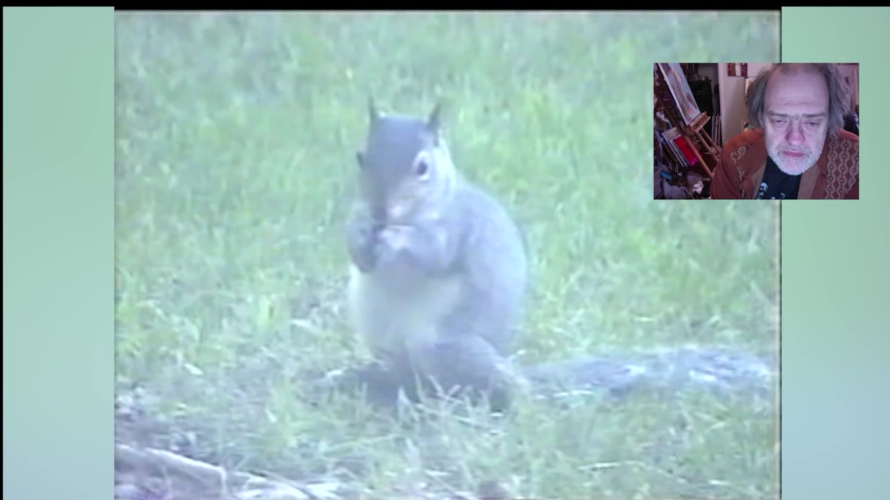 THE LEMURIC SQUIRREL