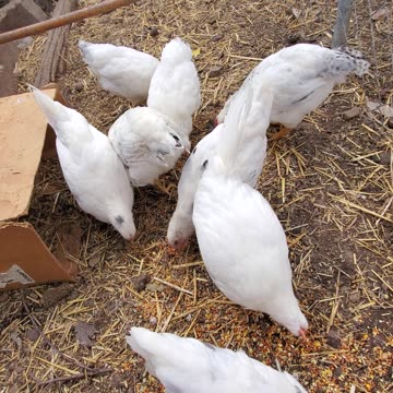 Give them Your Time :)