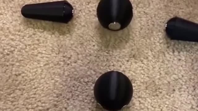 "It looks interesting "