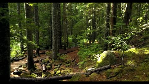 Relaxing Music | Sleeping, Meditation, Stress Relief | [6793] ⭐️