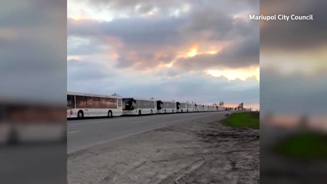 Video shows buses waiting to leave for Mariupol