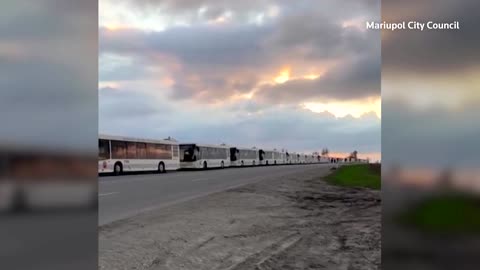 Video shows buses waiting to leave for Mariupol