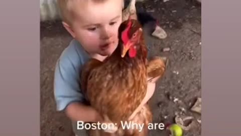 Perfect explanation - Funny Ckicken