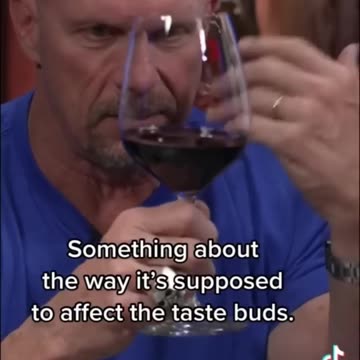 Stone Cold Steve Austin and The Undertaker Taste Fine Wine
