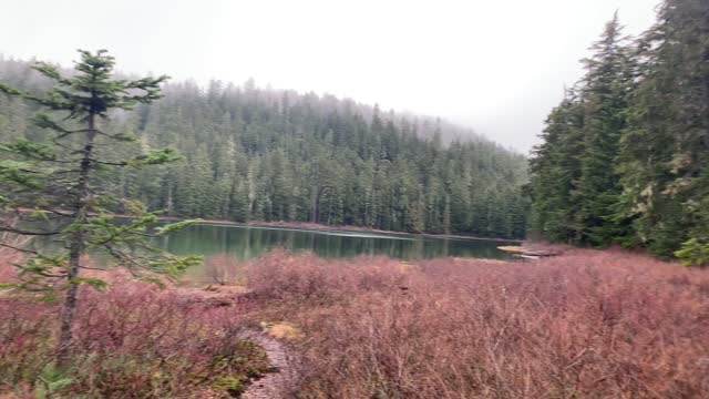 Oregon – Mount Hood National Forest – The Southernmost Point of the Lake Loop – 4K