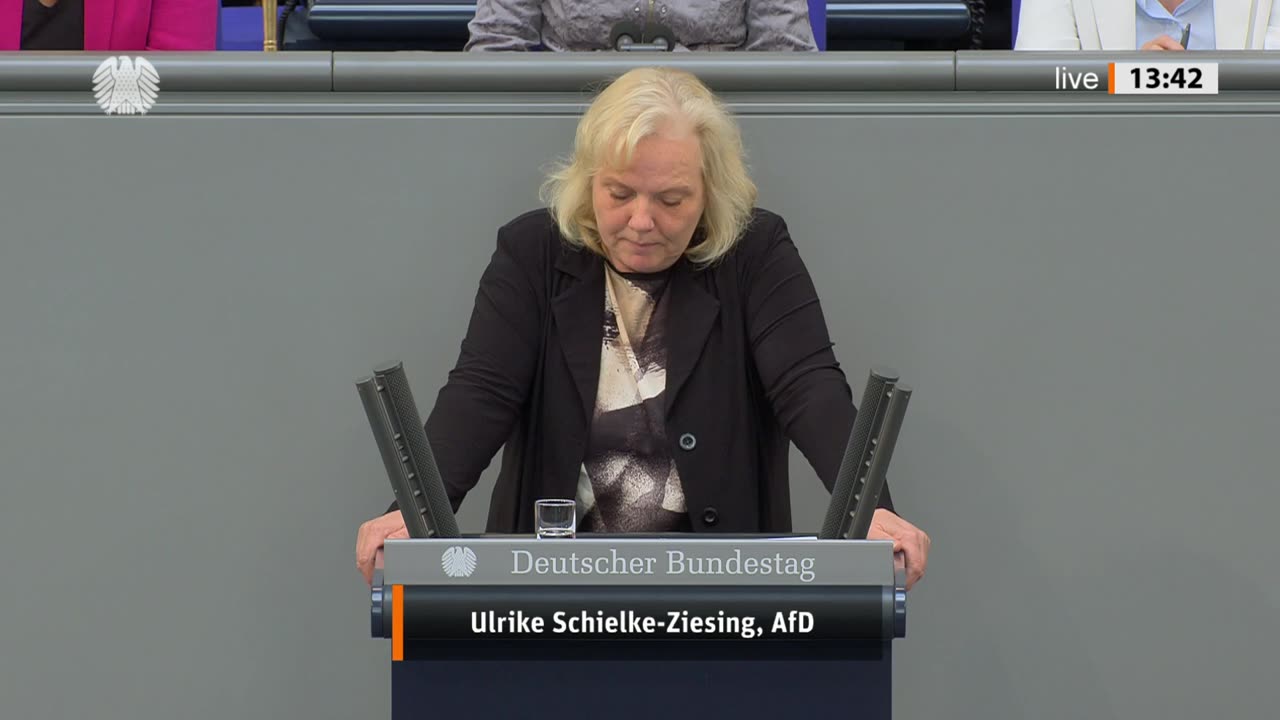 Ulrike Schielke-Ziesing Rede vom 25.05.2023 - Aktionsplan zur Stärkung der Tarifbindung