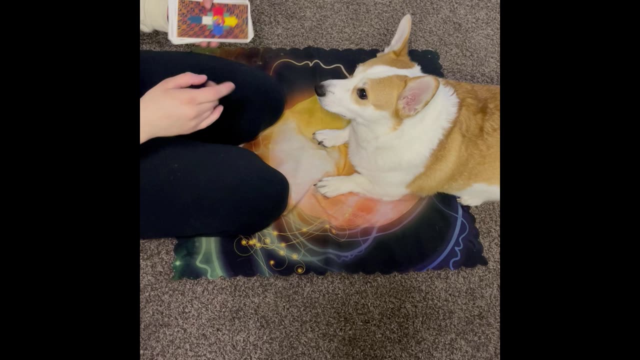 Today's Tarot message from Jasper