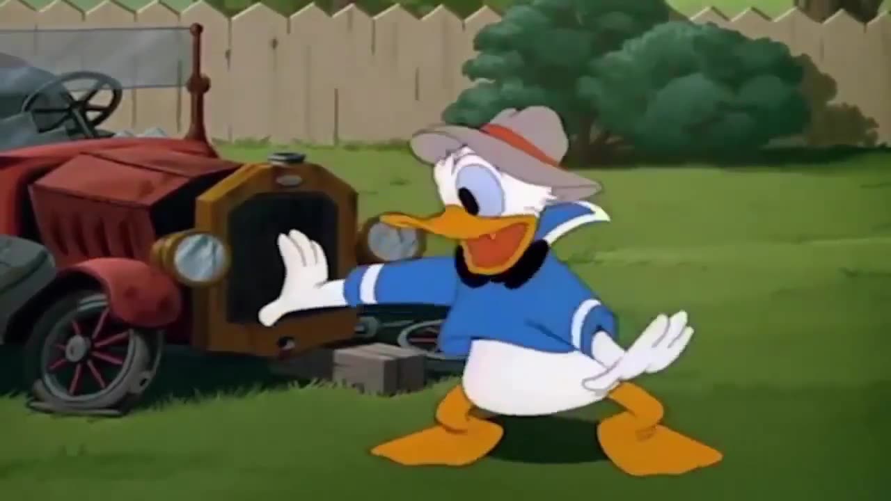 DONALD_DUCK_CARTOONS_[old_school]