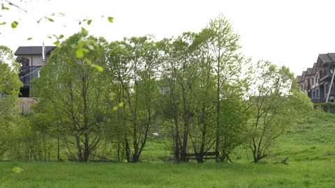 Приватний острів і "золоті" діоди для Укрзалізниці: як живе родина очільника БЕБ Федорова