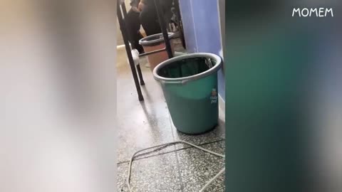 if you laugh 2 times, you lose