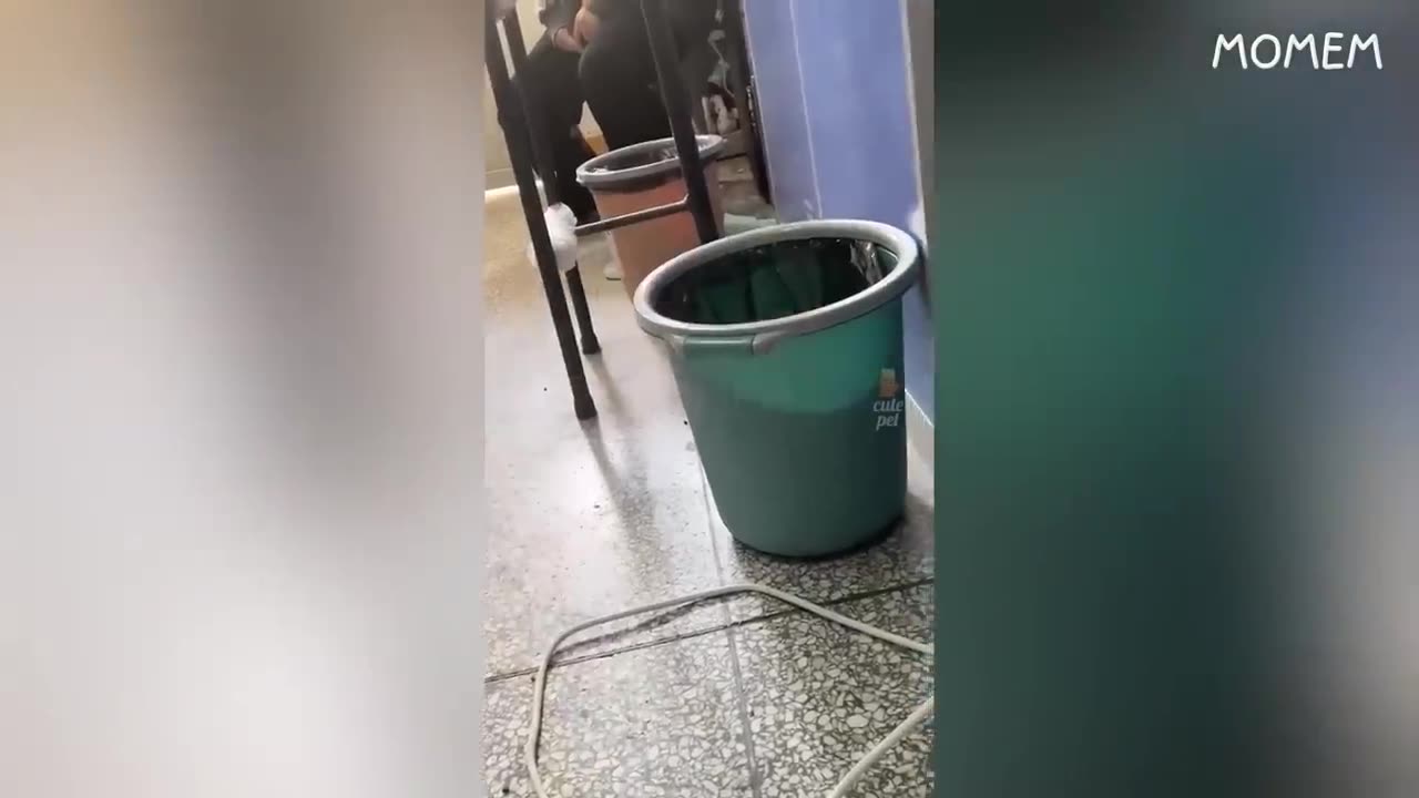 if you laugh 2 times, you lose