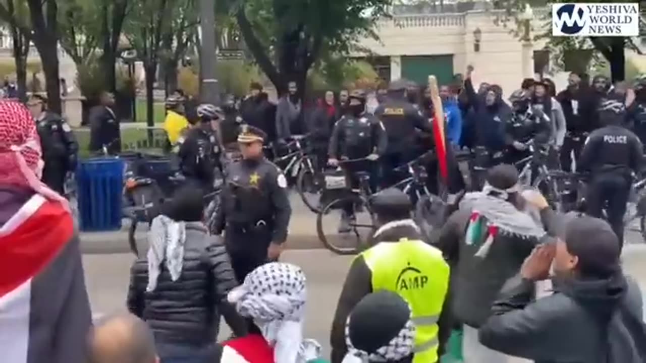 Black Israelites/ Hebrews fight Pro-Hamas protesters in Chicago