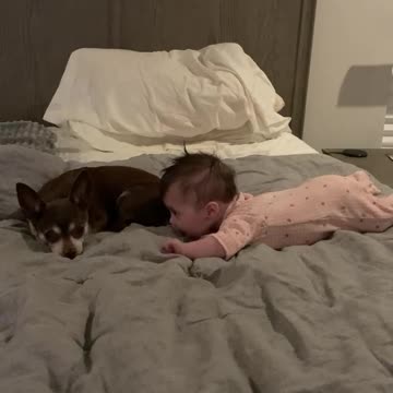 Giana looking for Mochas attention 10/26/23