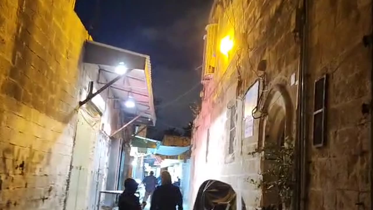 Series1: Jerusalem cats Day7 (Vid4/6)