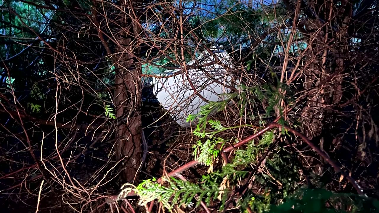 Oregon teacher 'surprised' to find plane part in tree