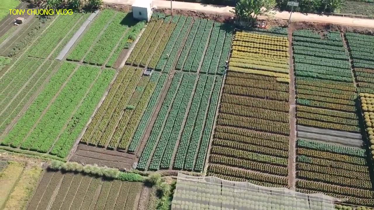 Flower Village