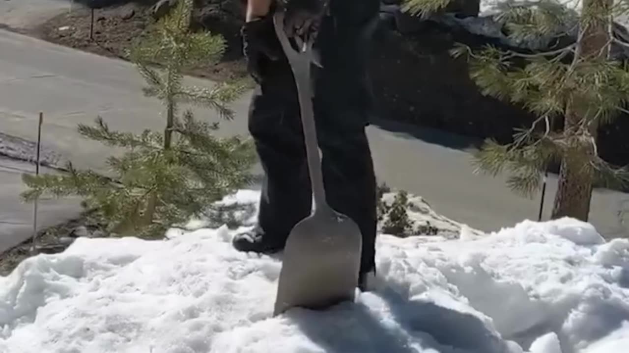 The End 😂😂😂 #viral #shorts #reels #funny #fails