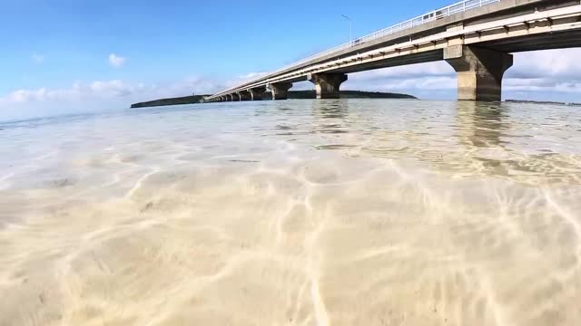 turtle's camera perspective