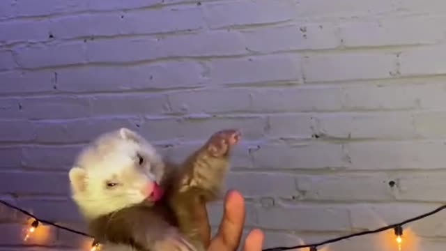 Do you remember me 🤗