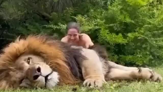 Play with lion😍😍