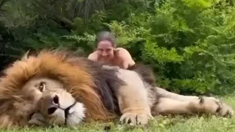 Play with lion😍😍