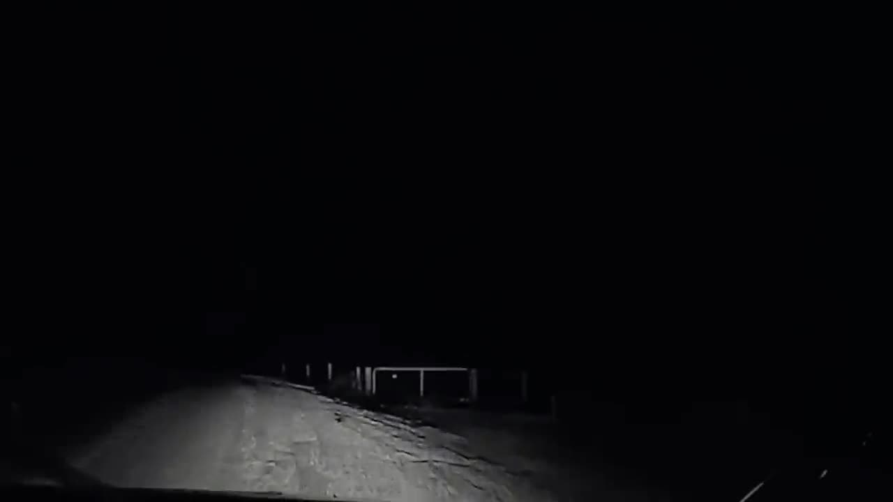 Kangaroo Jumps on Bonnet of Car