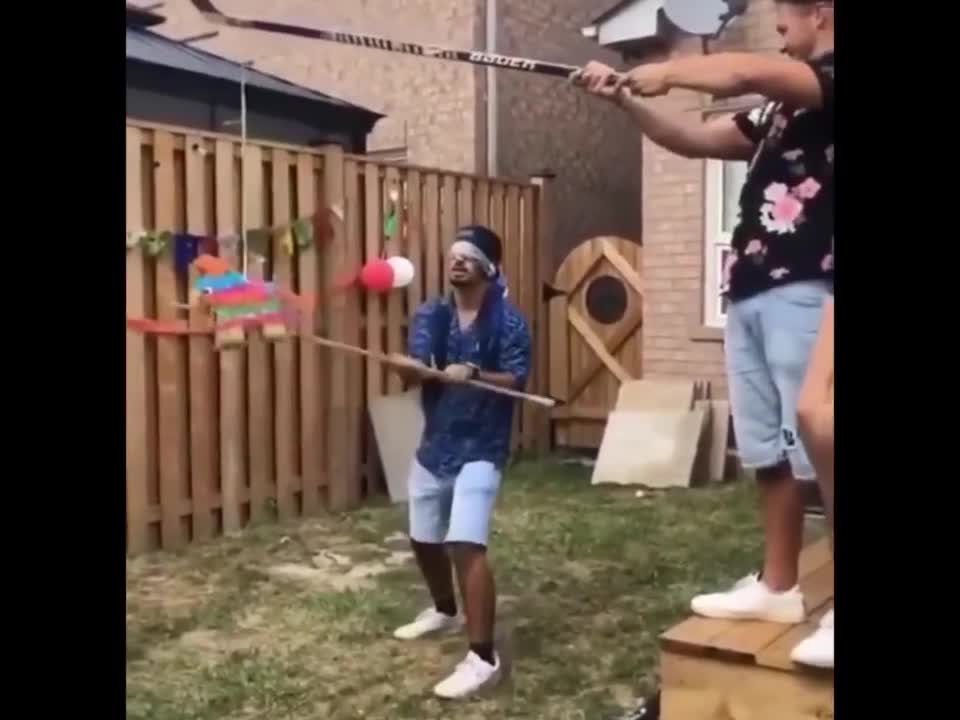 New Funny Videos