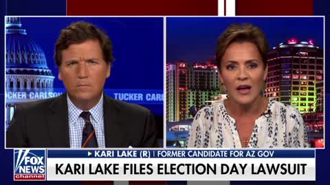 Kari lays out her Election lawsuit for all the normies watching Fox News: