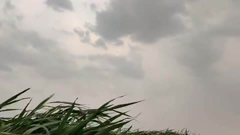 Beautiful weather