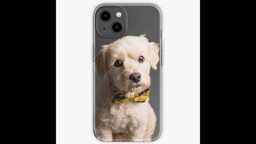 Little DOG iPhone Case