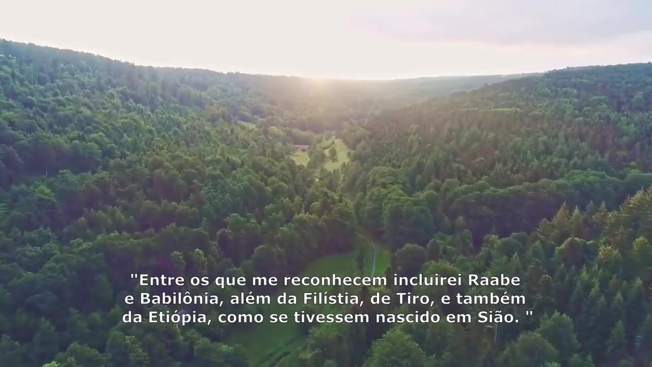 SALMOS 87