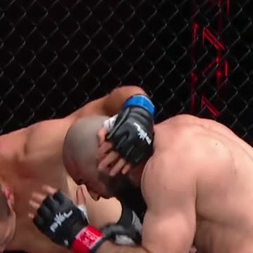 WWE FIGHT | WWE RACELING