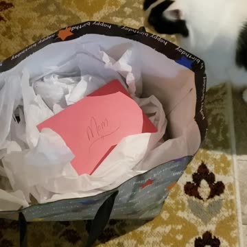 Lisa made it to 60 🤗❤👍👍