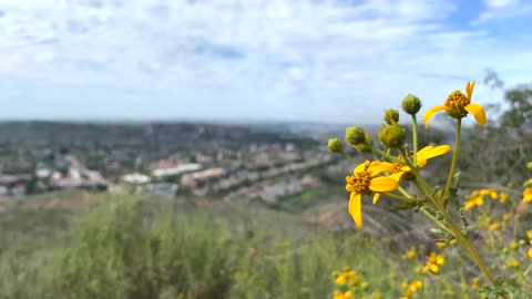Cowles Mountain in San Diego, California