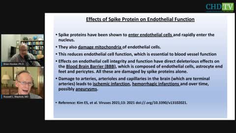 Russell Blaylock - ‘Sickness Behavior’ & the Effect of Spike Proteins on the Body - November 17, 2022