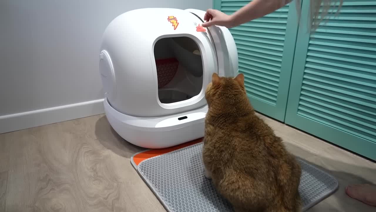 New Self-Cleaning Cat Litter Box for Hosico - PETKIT PURA MAX